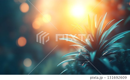 Teal Plant Radiating Sunlight with Bokeh Background in Dreamy Ga Teal Plant Radiating Sunlight with Bokeh Background in Dreamy Ga 131692609