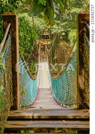 Sepilok, Sabah, Malaysia - Jan 2025: Forest canopy Sky Walk at the Rainforest Discovery Centre in Sepilok. Sepilok, Sabah, Malaysia - Jan 2025: Forest canopy Sky Walk at the Rainforest Discovery Centre in Sepilok. 131692737