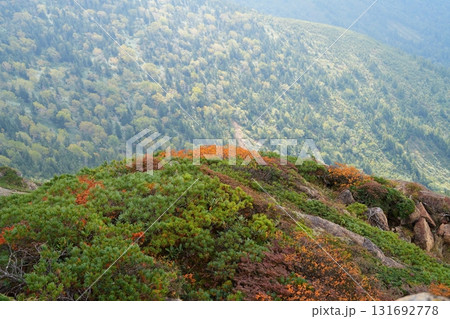 山頂の紅葉 山頂の紅葉 131692778
