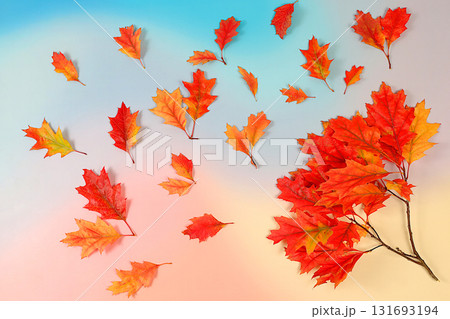 Autumn abstract composition with maple leaves on bright seasonal background, still life and Thanksgiving concept, screen banner and design template, greeting card and greeting, hello autumn. 131693194