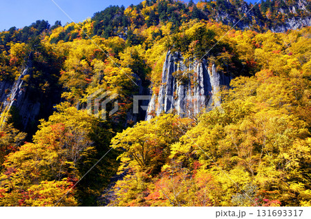 天人峡の紅葉 天人峡の紅葉 131693317