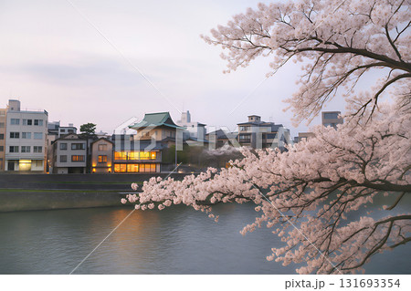 金沢 夕暮れの犀川沿いの桜と街並みイラスト 131693354