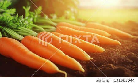 Carrots lay on rich soil under sunlight, with greens attached. Concept of fresh produce and healthy eating. For vegetable farming promotions. Carrots lay on rich soil under sunlight, with greens attached. Concept of fresh produce and healthy eating. For vegetable farming promotions. 131693944