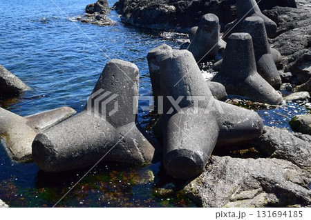 海岸の波消しブロック 海岸の波消しブロック 131694185