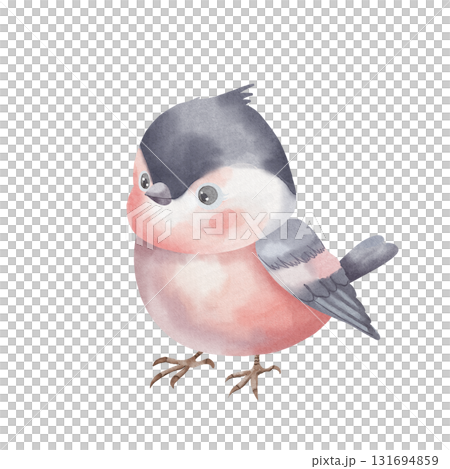 Bullfinch. Cute red bird with black wings, painted in watercolors. Winter bird, isolated on white background. Children style. For design, postcards Bullfinch. Cute red bird with black wings, painted in watercolors. Winter bird, isolated on white background. Children style. For design, postcards 131694859