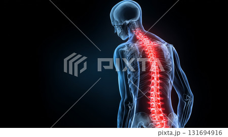 頭から腰までの脊椎を強調した人体イメージ 131694916