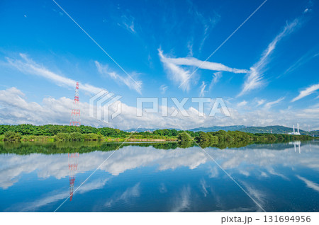 秋の淀川風景　左岸枚方市側から右岸高槻市側の眺め　大阪府 131694956