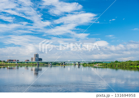 秋の淀川風景　枚方大橋方面の眺め　大阪府 131694958