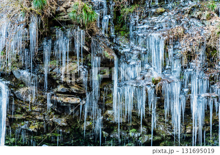 埼玉・秩父 三十槌の氷柱 埼玉・秩父 三十槌の氷柱 131695019