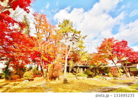 紅葉の新潟県小千谷市豪商の館・西脇邸 紅葉の新潟県小千谷市豪商の館・西脇邸 131695235