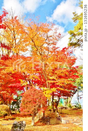 紅葉の新潟県小千谷市豪商の館・西脇邸 紅葉の新潟県小千谷市豪商の館・西脇邸 131695236