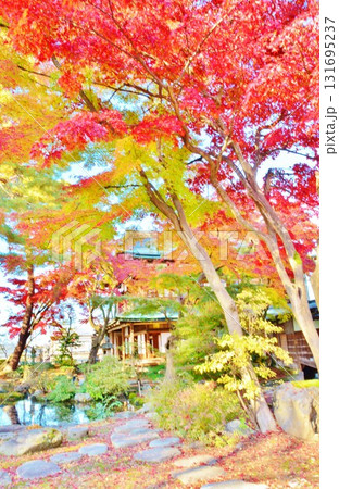 紅葉の新潟県小千谷市豪商の館・西脇邸 131695237