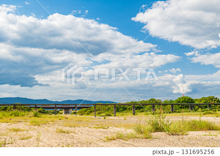 木津川に架かる木橋　上津屋橋（流れ橋）　干上がった川底からの景観　京都府八幡市 131695256