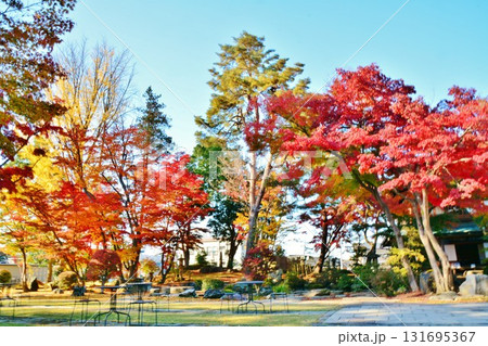 紅葉の新潟県小千谷市豪商の館・西脇邸 紅葉の新潟県小千谷市豪商の館・西脇邸 131695367