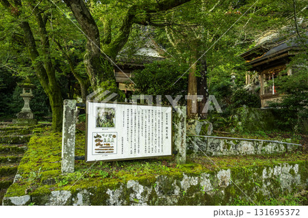 潮見神社 潮見古墳 佐賀県武雄市 潮見神社 潮見古墳 佐賀県武雄市 131695372