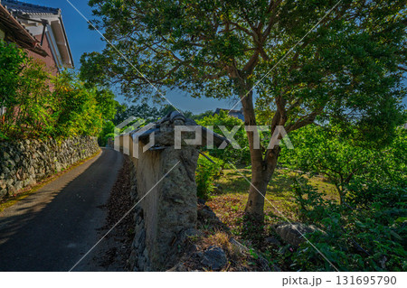 時代劇に出てきそうな京都府亀岡市千歳町毘沙門向畑に残る土塀 時代劇に出てきそうな京都府亀岡市千歳町毘沙門向畑に残る土塀 131695790