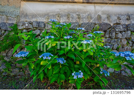 時代劇に出てきそうな京都府亀岡市千歳町毘沙門向畑に残る土塀 131695796