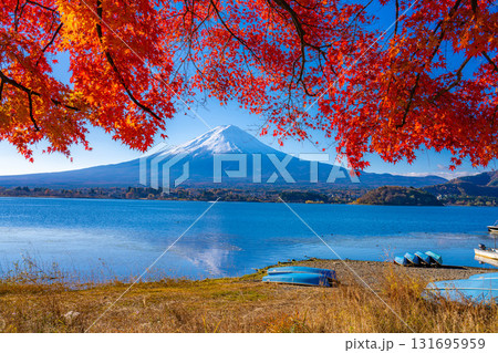 【富士山素材】秋の河口湖から見る冠雪した富士山と紅葉【山梨県】 131695959