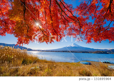 【富士山素材】秋の河口湖から見る冠雪した富士山と紅葉【山梨県】 131695964