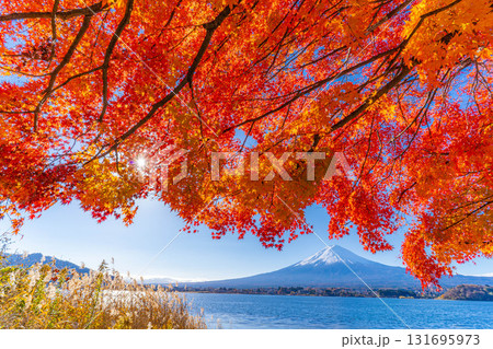 【富士山素材】秋の河口湖から見る冠雪した富士山と紅葉【山梨県】 131695973