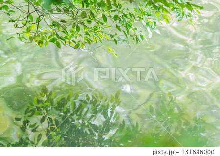 大阪府枚方市の山田池公園の池面に映る新緑 131696000