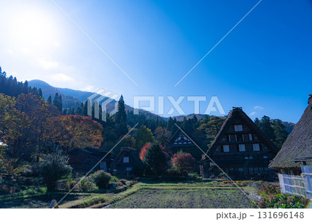 【世界遺産】紅葉真っ盛りの白川郷【岐阜県】 【世界遺産】紅葉真っ盛りの白川郷【岐阜県】 131696148