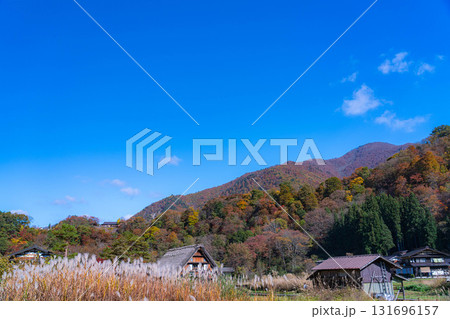 【世界遺産】紅葉真っ盛りの白川郷【岐阜県】 131696157