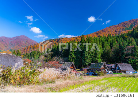 【世界遺産】紅葉真っ盛りの白川郷【岐阜県】 131696161