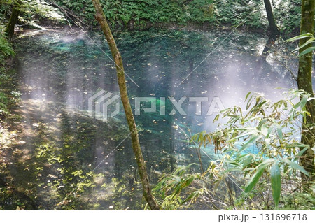 九月上旬の十二湖　青池 131696718