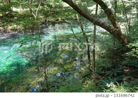 九月上旬の十二湖 沸壺の池 九月上旬の十二湖 沸壺の池 131696742