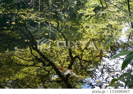 九月の十二湖　長池 131696907