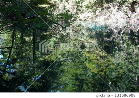 九月の十二湖　長池 131696909