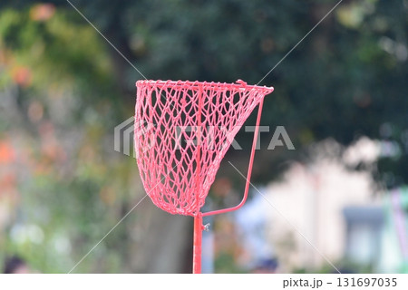 たまいれカゴ　☆mar_lapin 131697035