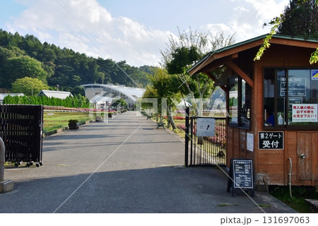 山中湖花の都公園 清流の里第2ゲートと散策路 山中湖花の都公園 清流の里第2ゲートと散策路 131697063