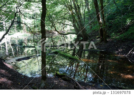 九月の十二湖　道芝の池 131697078