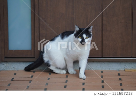 秋の日にひっそり実ローズヒップ 131697218