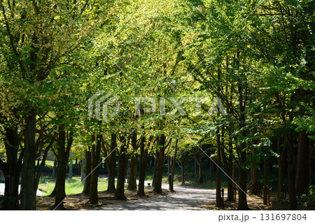 水戸市植物公園　2025-8-31　＃83 131697804