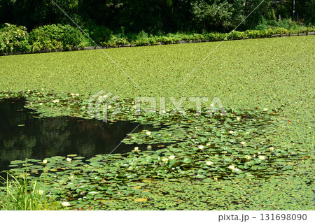 水戸市植物公園　2025-8-31　＃101 131698090