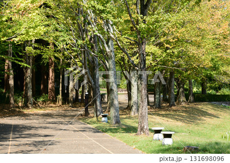 水戸市植物公園　2025-8-31　＃106 131698096