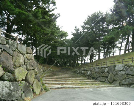 癒やしの曲里の松並木 癒やしの曲里の松並木 131698309