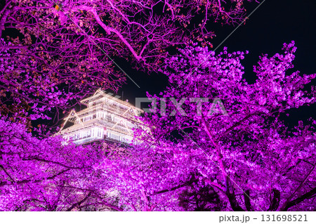 《福岡県》舞鶴公園・満開の桜ライトアップ 《福岡県》舞鶴公園・満開の桜ライトアップ 131698521