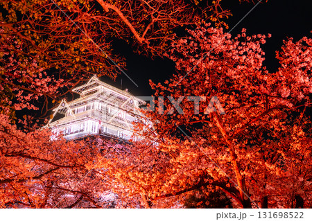 《福岡県》舞鶴公園・満開の桜ライトアップ 131698522