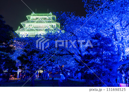 《福岡県》舞鶴公園・満開の桜ライトアップ 《福岡県》舞鶴公園・満開の桜ライトアップ 131698525