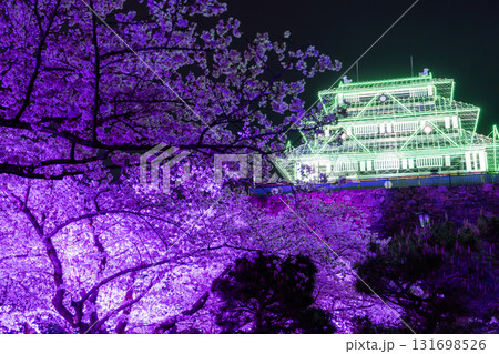 《福岡県》舞鶴公園・満開の桜ライトアップ 131698526