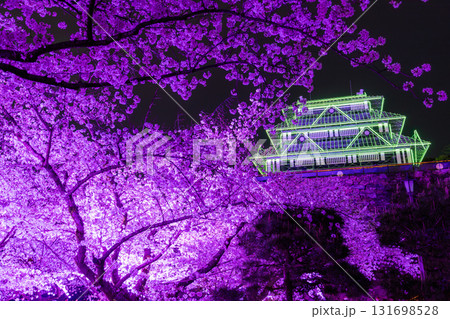 《福岡県》舞鶴公園・満開の桜ライトアップ 131698528