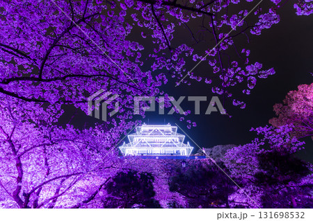 《福岡県》舞鶴公園・満開の桜ライトアップ 《福岡県》舞鶴公園・満開の桜ライトアップ 131698532