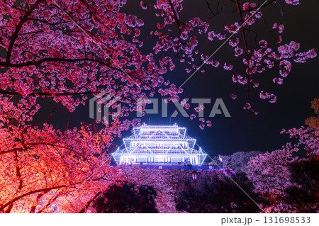 《福岡県》舞鶴公園・満開の桜ライトアップ 《福岡県》舞鶴公園・満開の桜ライトアップ 131698533