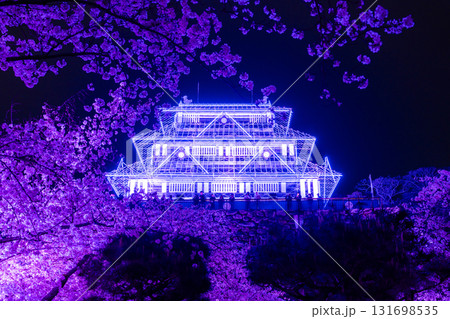 《福岡県》舞鶴公園・満開の桜ライトアップ 《福岡県》舞鶴公園・満開の桜ライトアップ 131698535