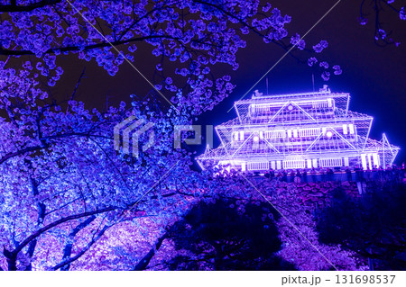 《福岡県》舞鶴公園・満開の桜ライトアップ 《福岡県》舞鶴公園・満開の桜ライトアップ 131698537