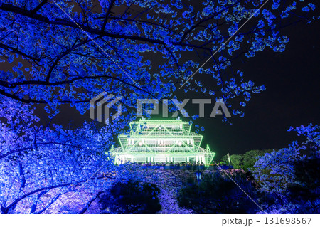 《福岡県》舞鶴公園・満開の桜ライトアップ 131698567